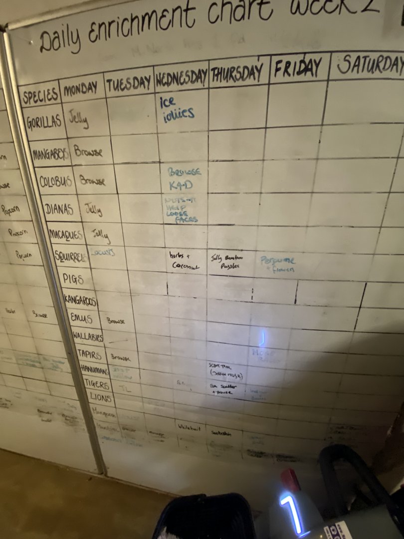 Former enrichment chart (evening) 180322