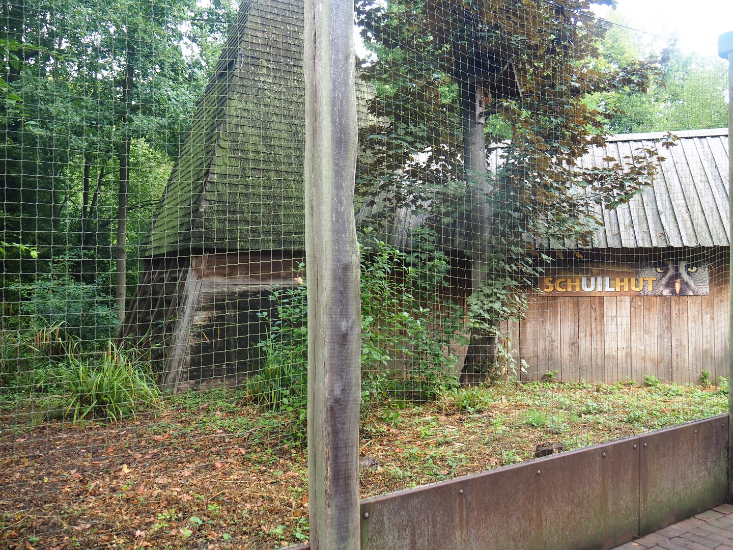 Former Eurasian eagle owl/Raven/Black stork aviary - Area to be added to the wolf exhibit, 2022-08-20