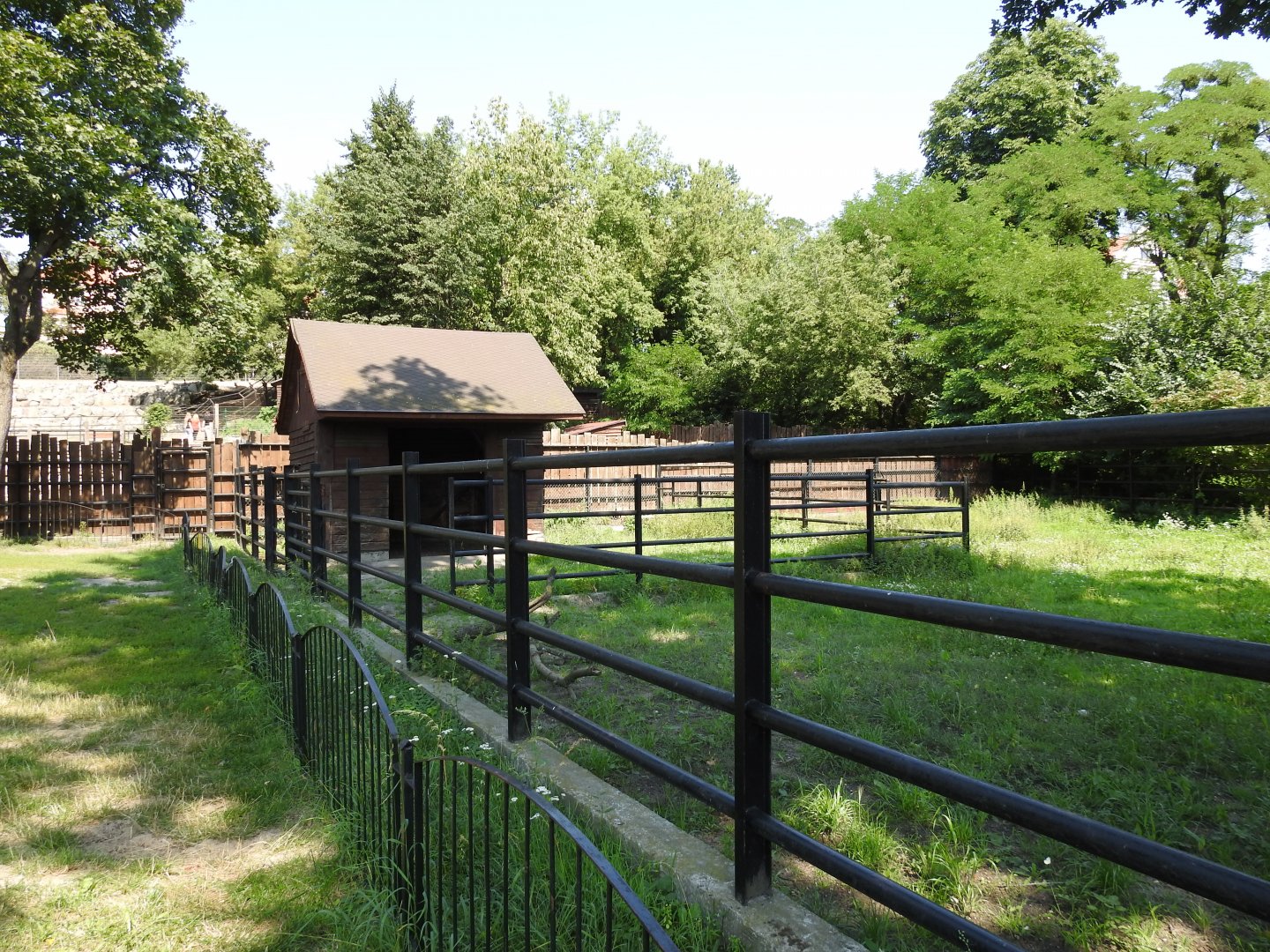 Former European bisons encolurse