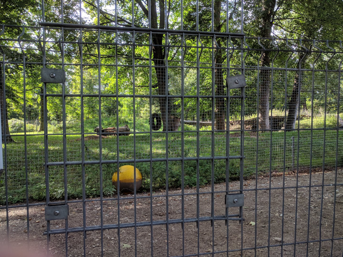 Former European Brown Bear Enclosure
