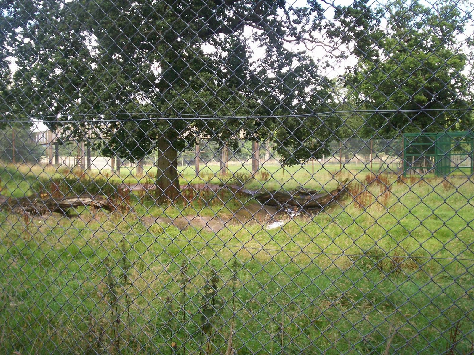 Former European brown bear enclosure