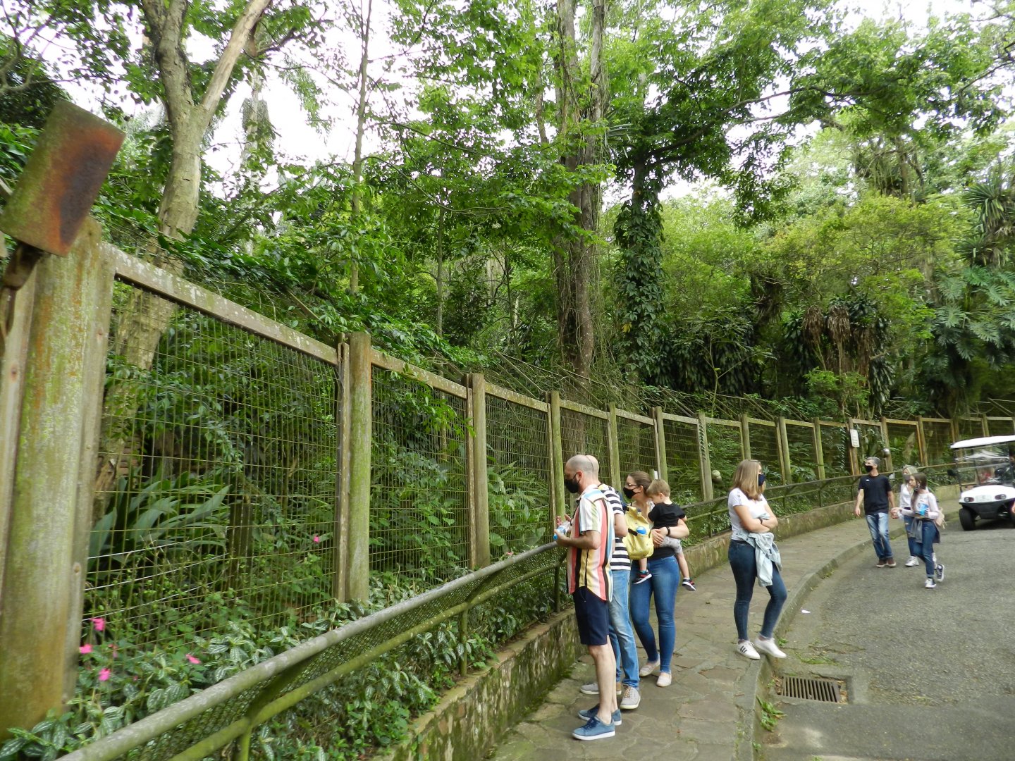 Former european wolf exhibit - Zoo São Paulo