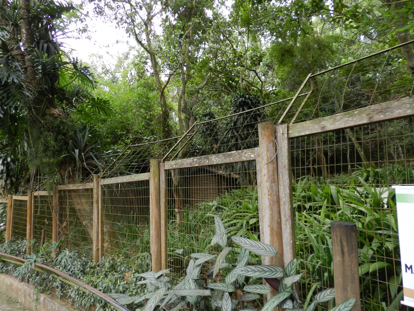 Former european wolf exhibit - Zoo São Paulo