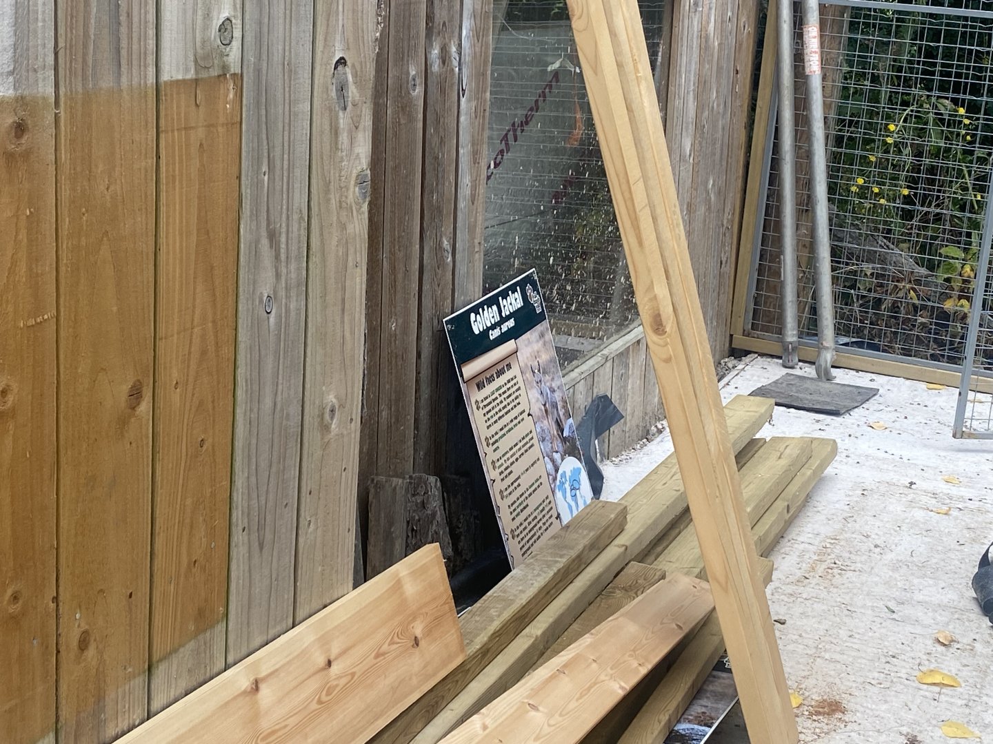 Former exhibit signage for Golden jackals 040824