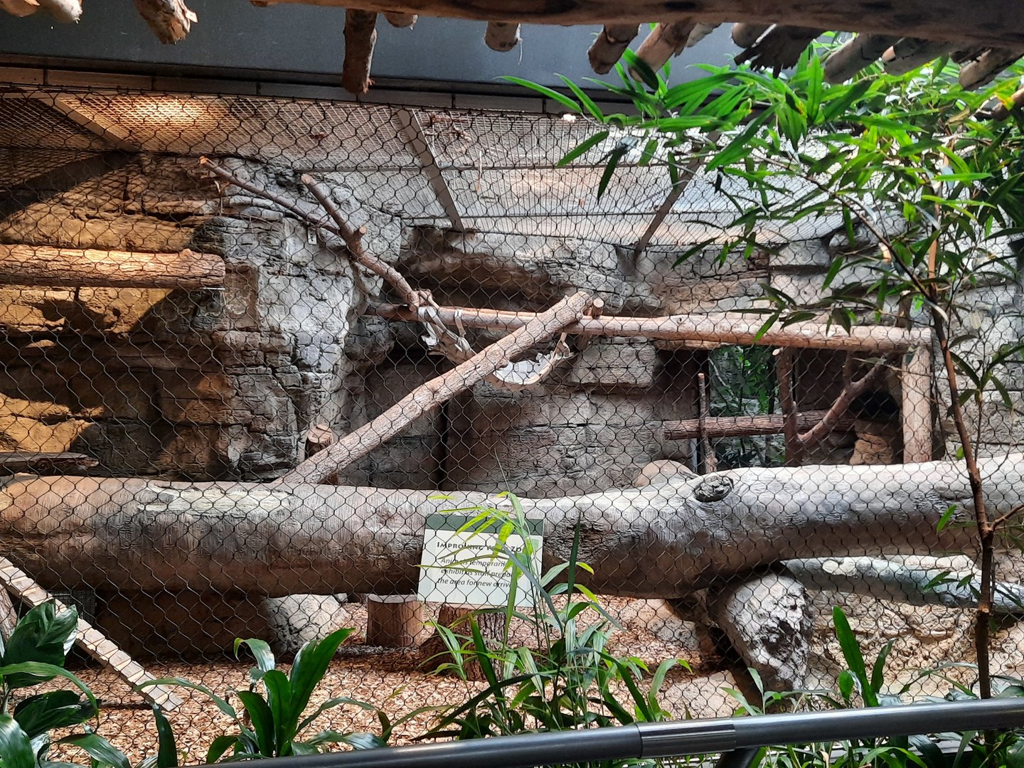 Former Fishing Cat Exhibit