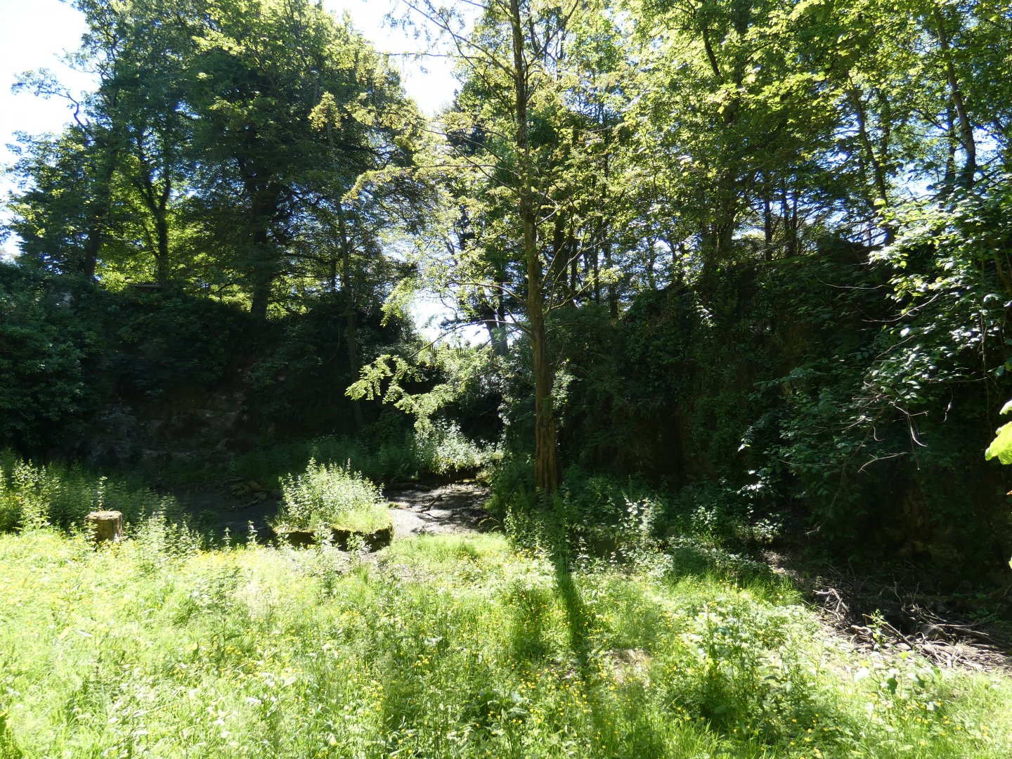 Former flamingo enclosure