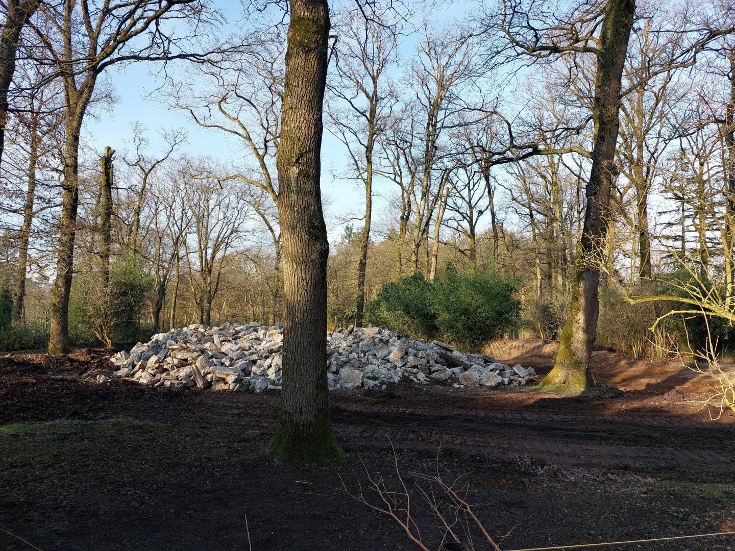Former flamingo exhibit