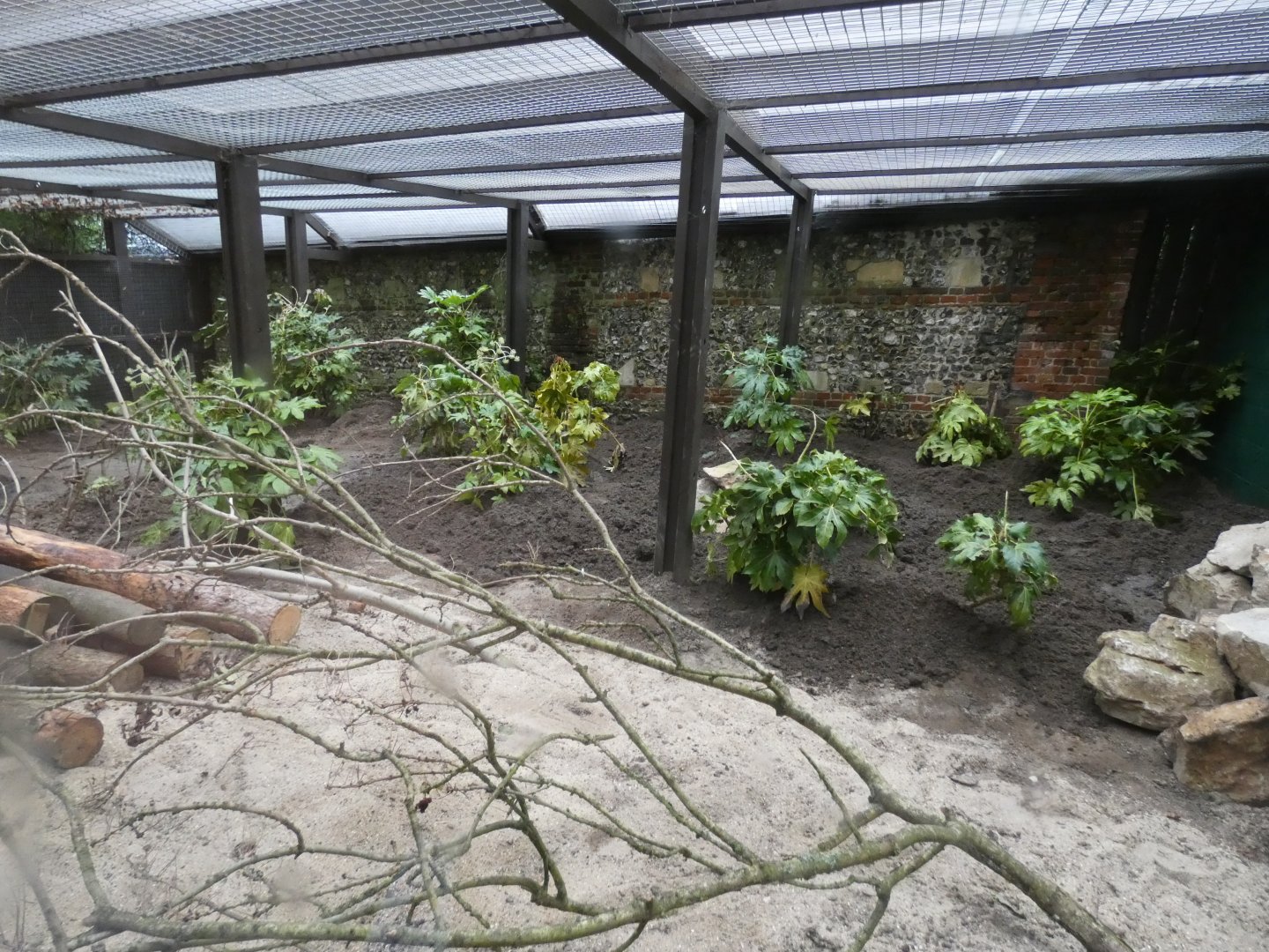 Former Fossa Enclosure