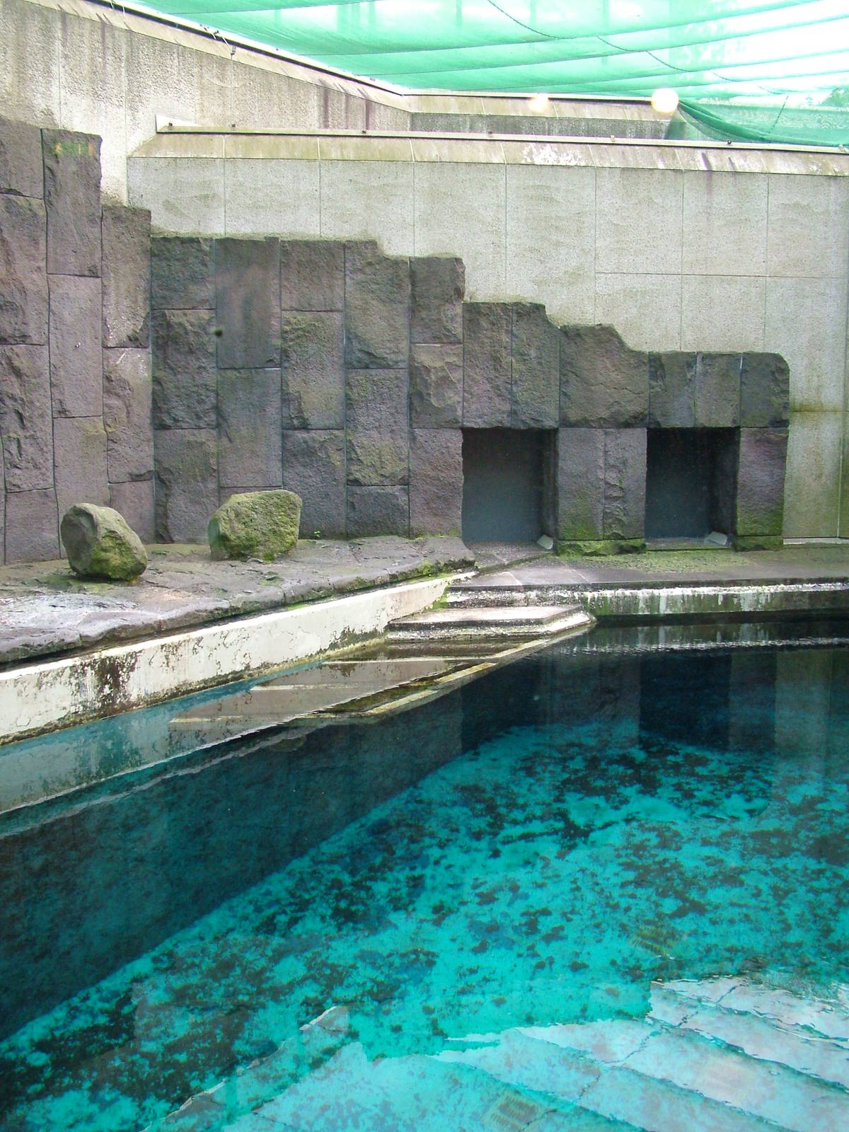 Former fur seal pool at Aquazoo 14/05/09