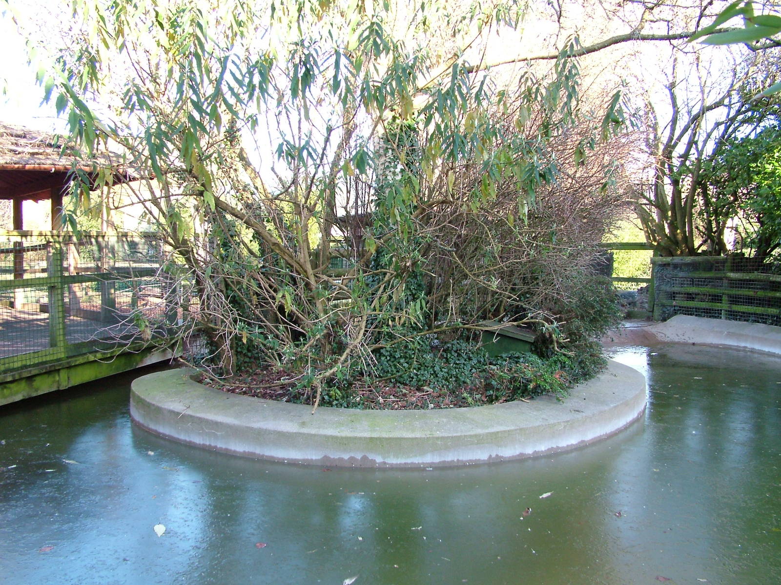 Former fur seal pool at Bristol 19/12/09