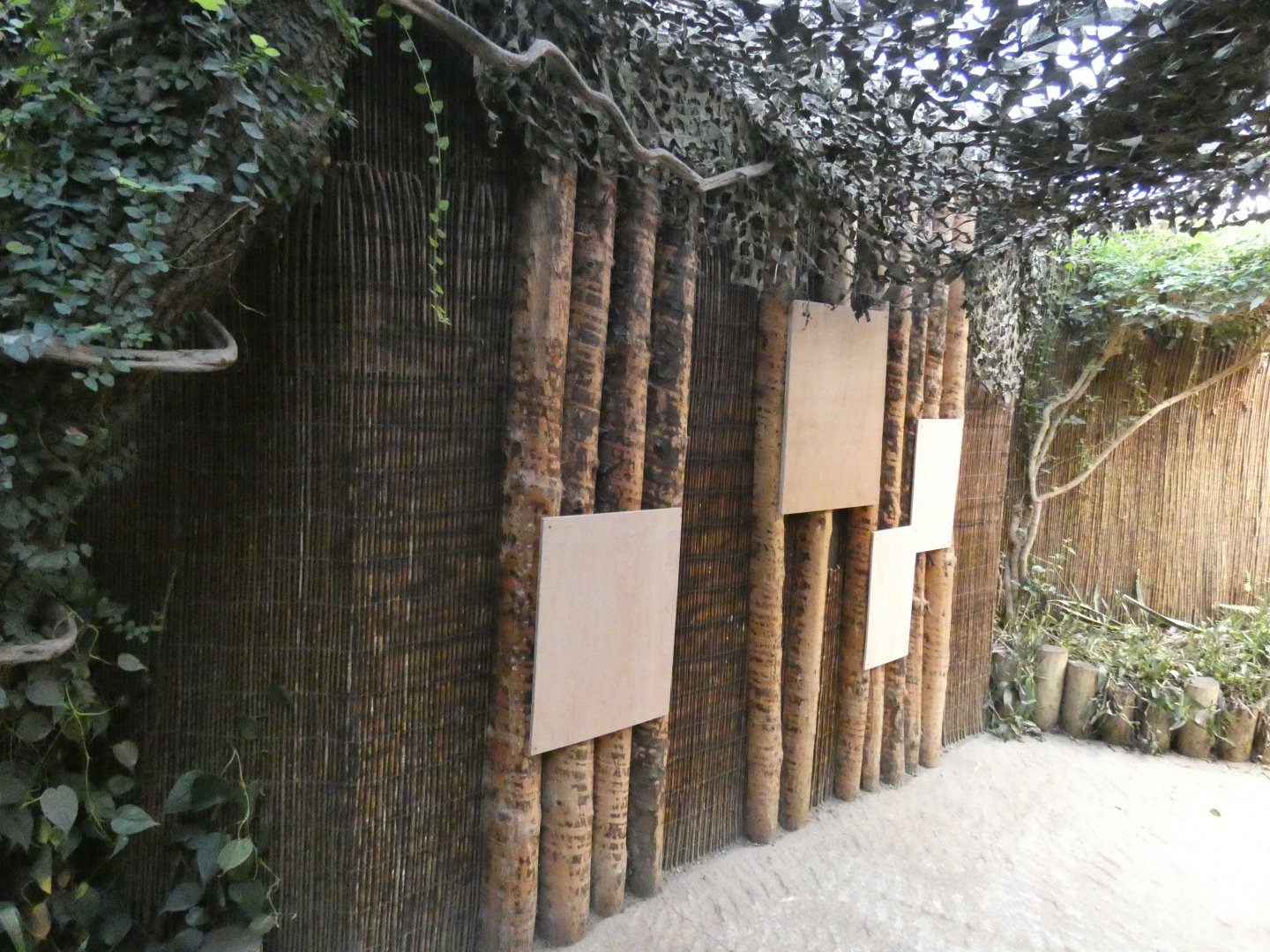 Former Gambian Pouched Rat enclosure in Okapi house