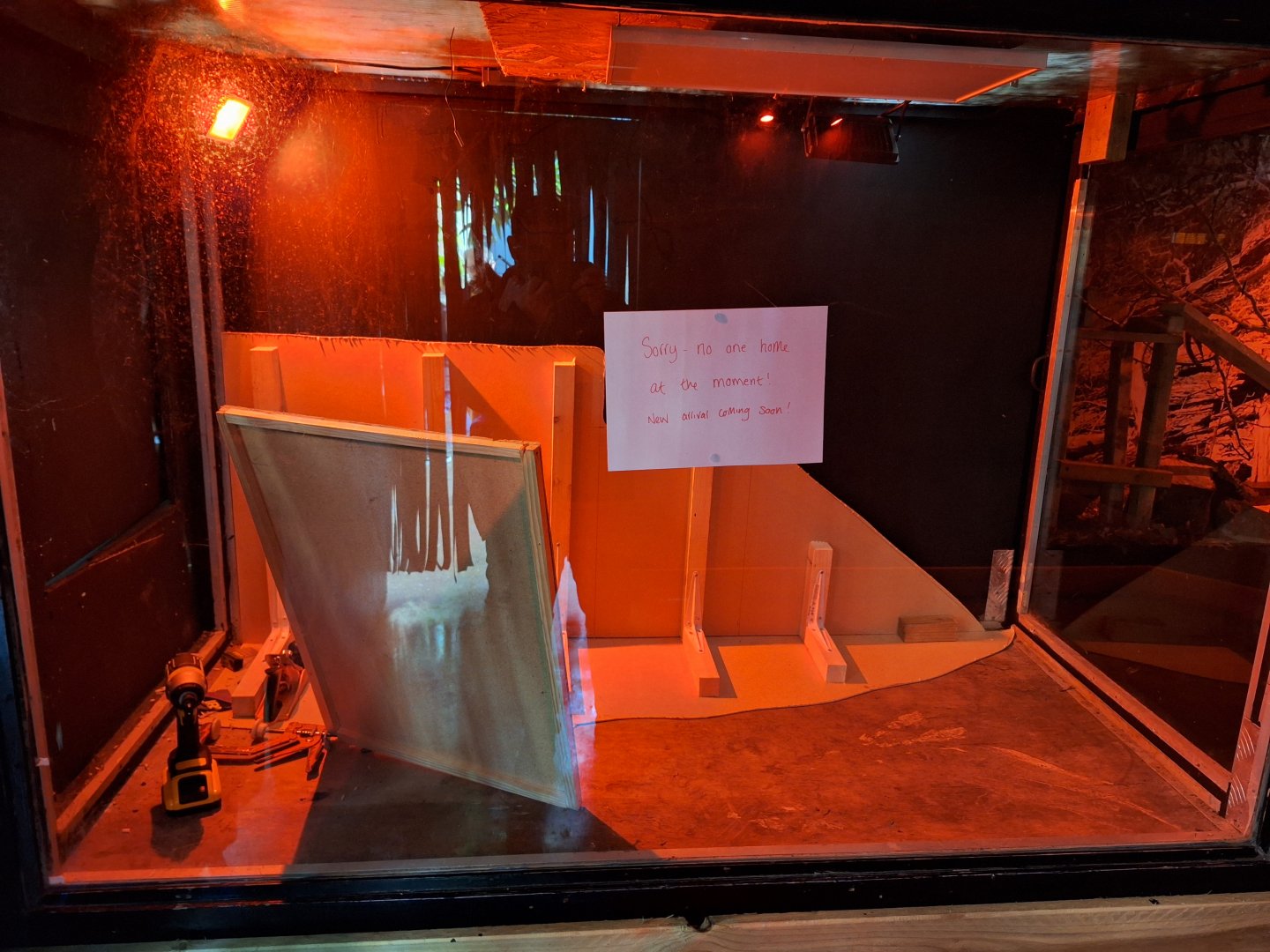 Former Gambian Pouched Rat enclosure in the Nocturnal Room