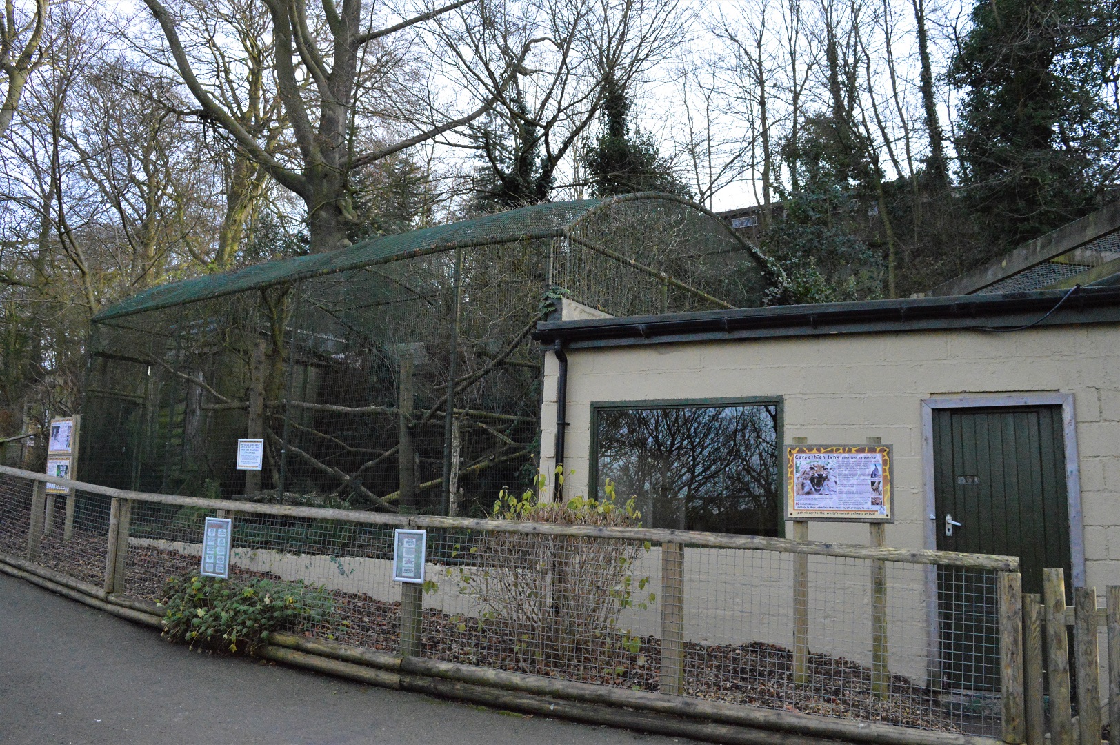 Former Geoffroy’s cat enclosure