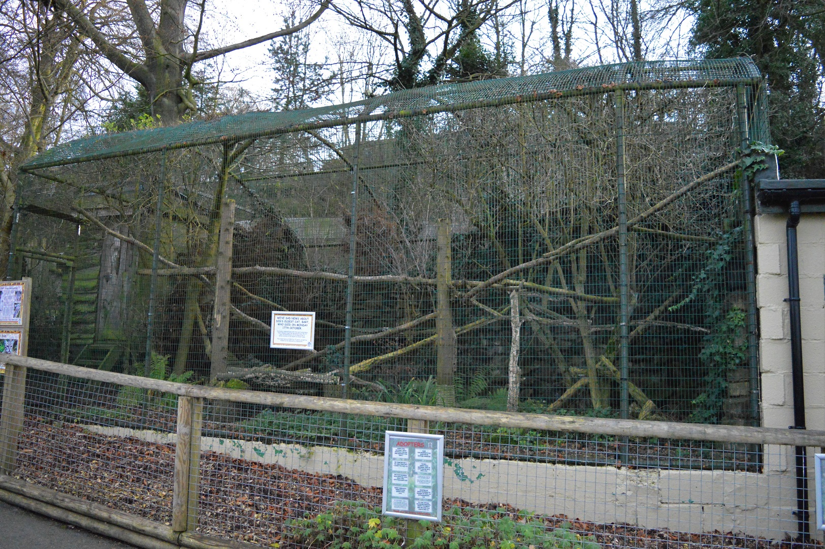 Former Geoffroy's cat enclosure