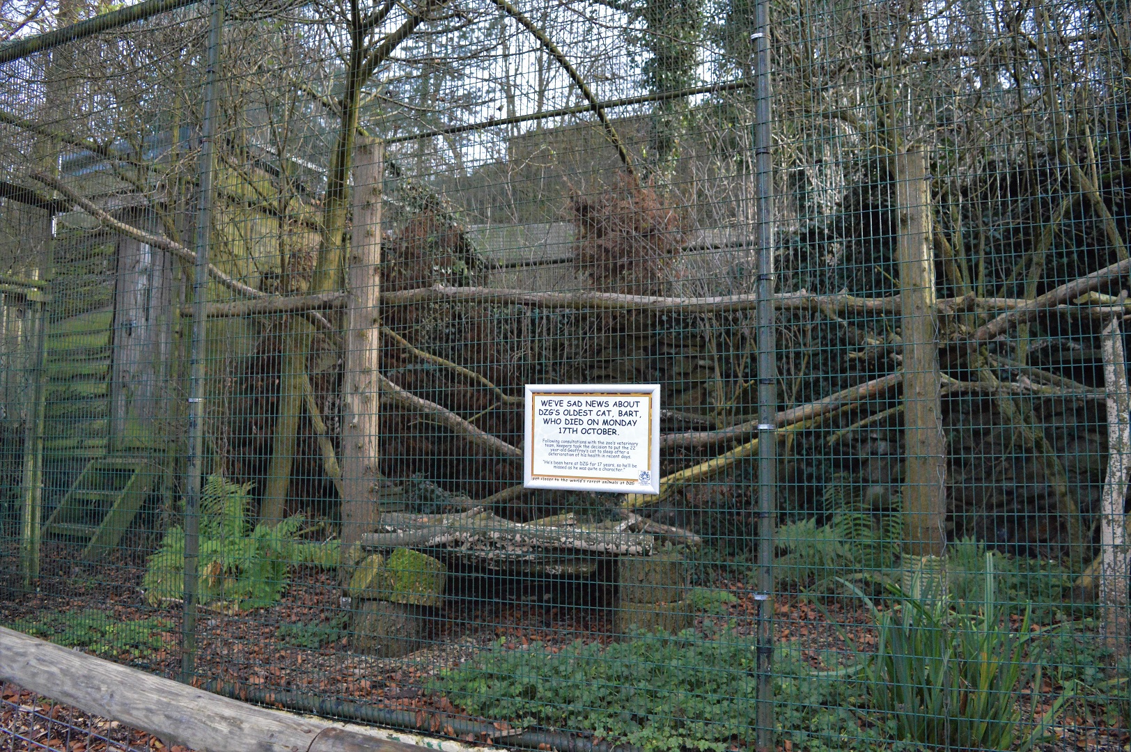 Former Geoffroy's cat enclosure
