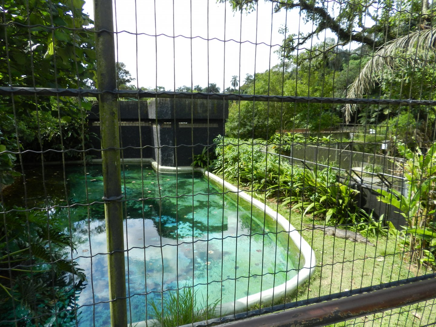 Former gharial exhibit - Zoo São Paulo