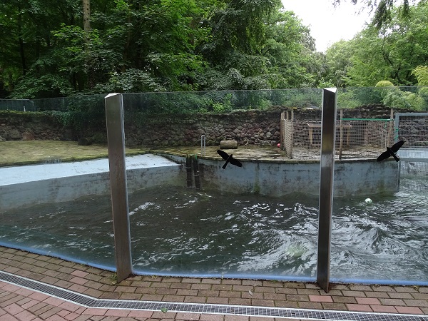 Former giant otter enclosure - currently housing sea lions and fur seals (07/22)