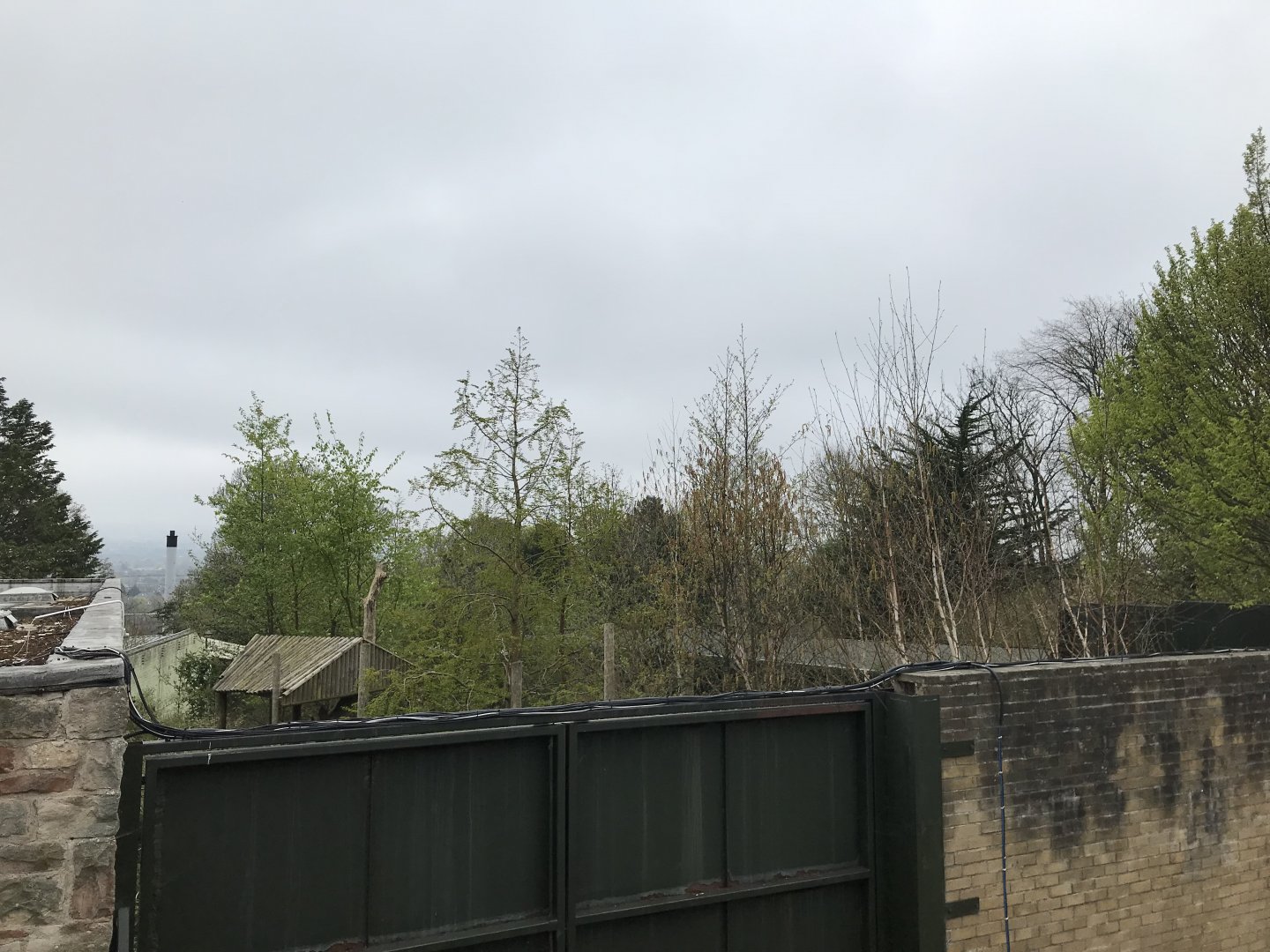 Former giant panda enclosure