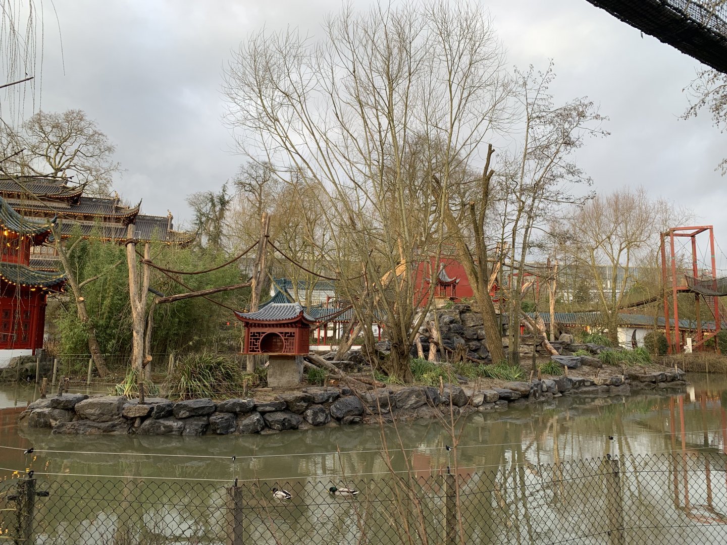 Former Gibbon enclosure, soon home to new monkey species.