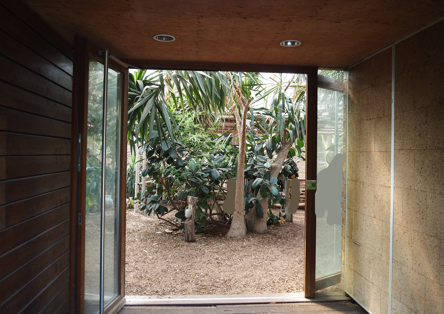 Former giraffe house viewing area, 2024-06-08