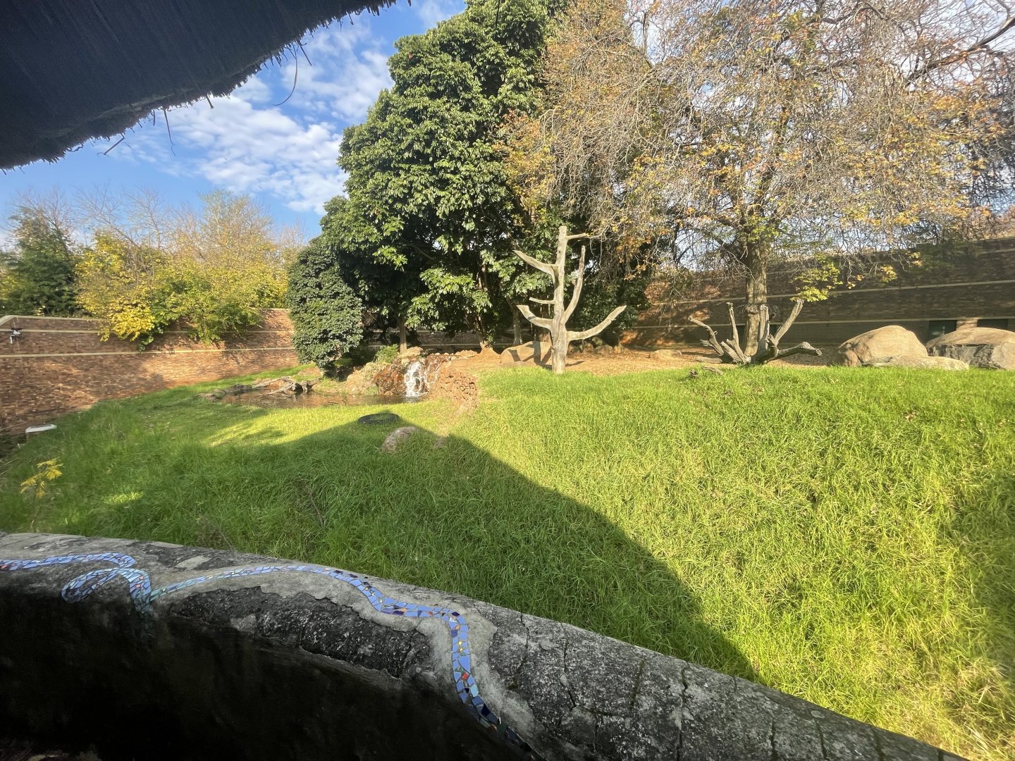 Former Gorilla Enclosure (Gorilla gorilla gorilla)