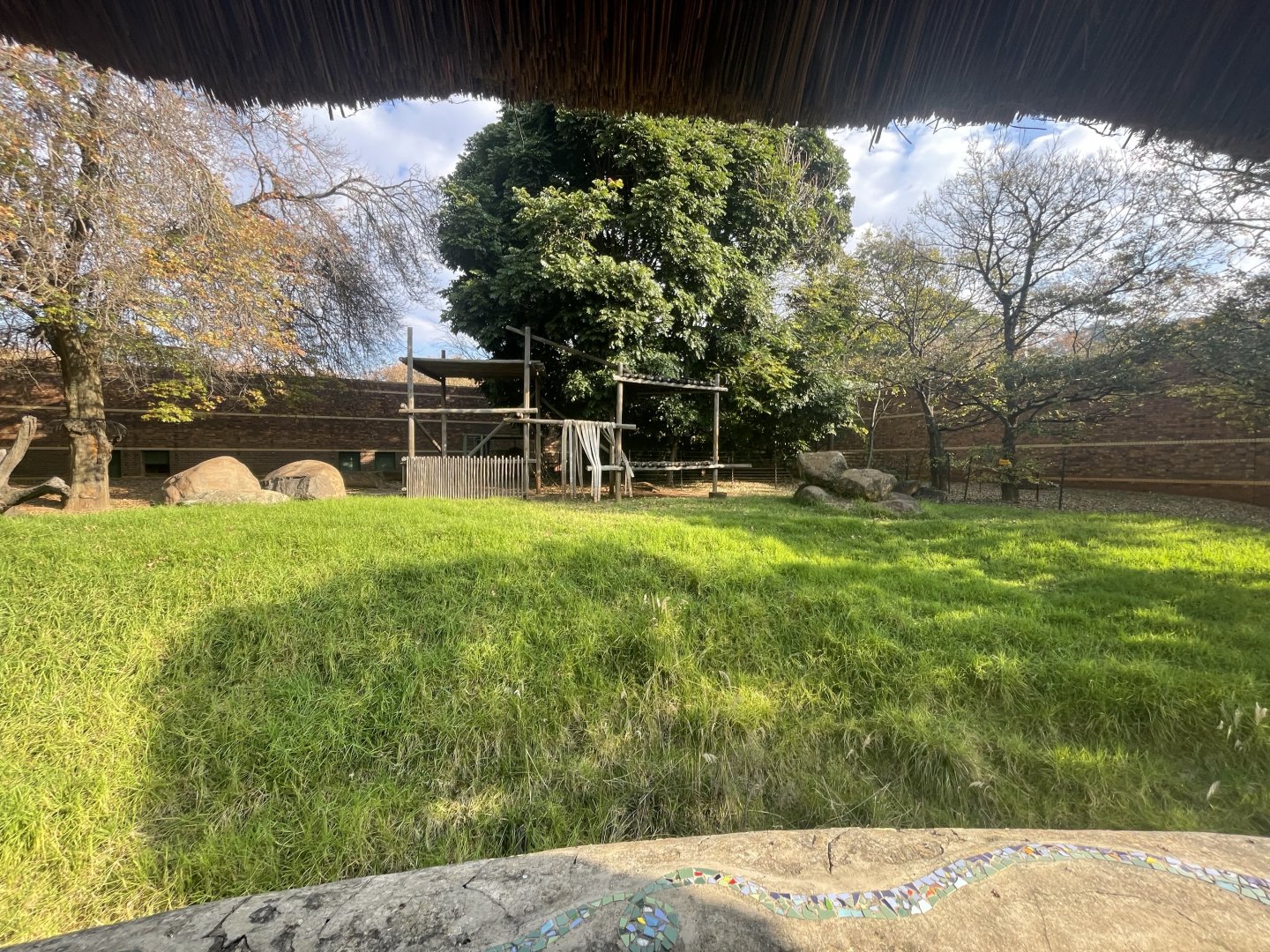 Former Gorilla Enclosure (Gorilla gorilla gorilla)