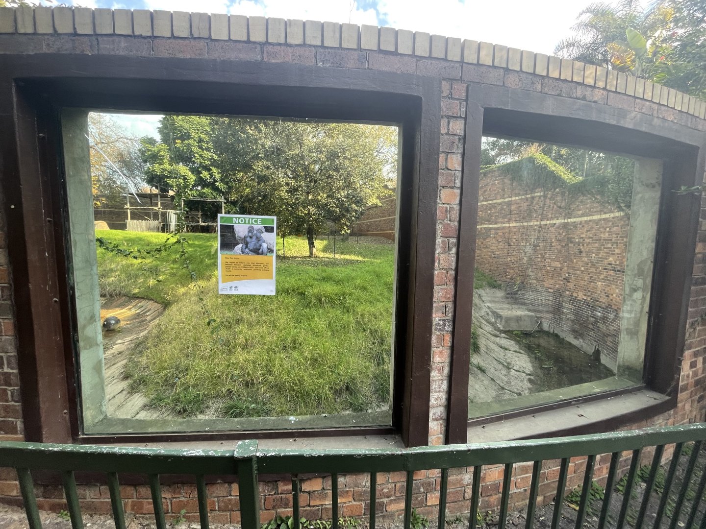 Former Gorilla Enclosure (Gorilla gorilla gorilla)