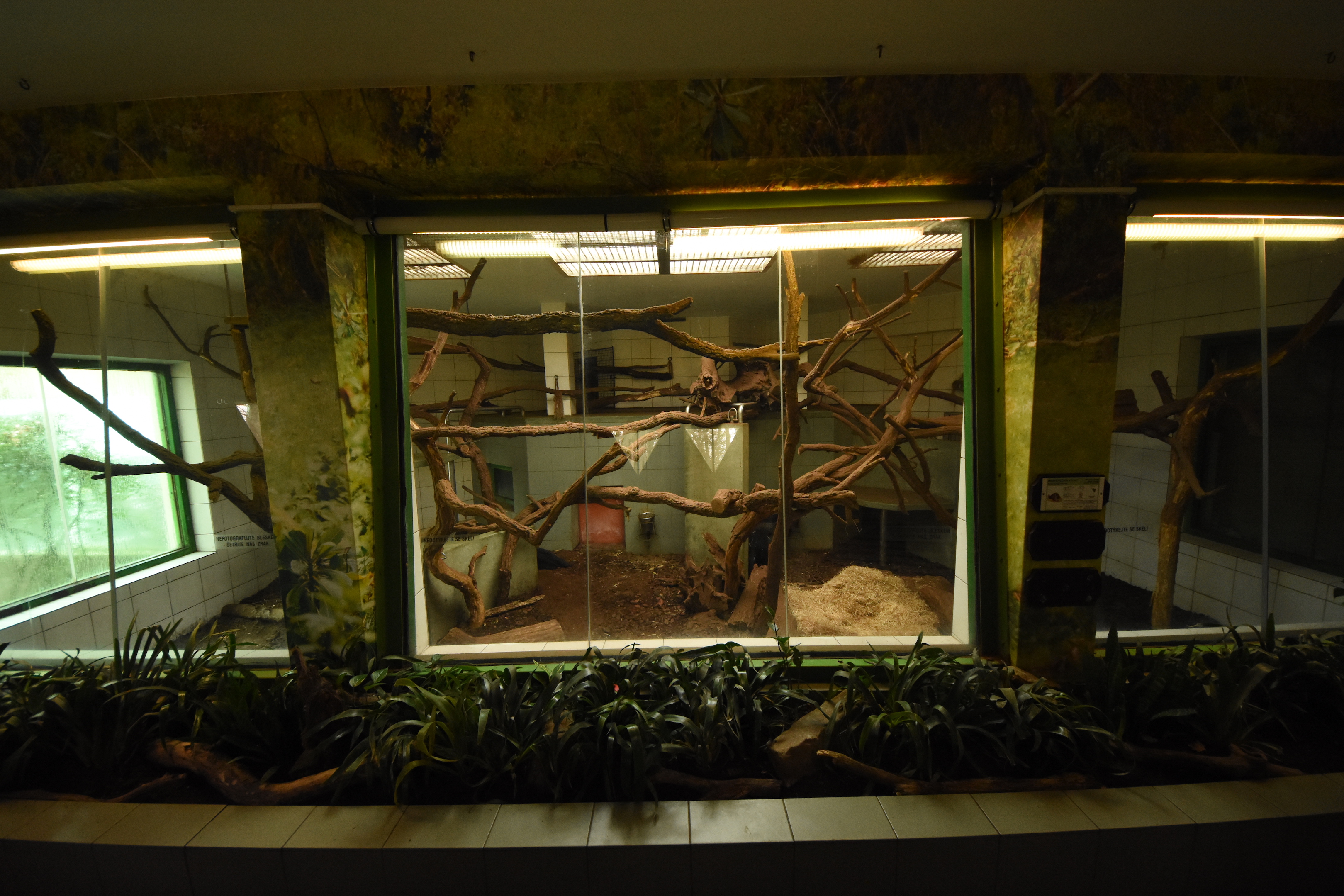 former Gorilla house