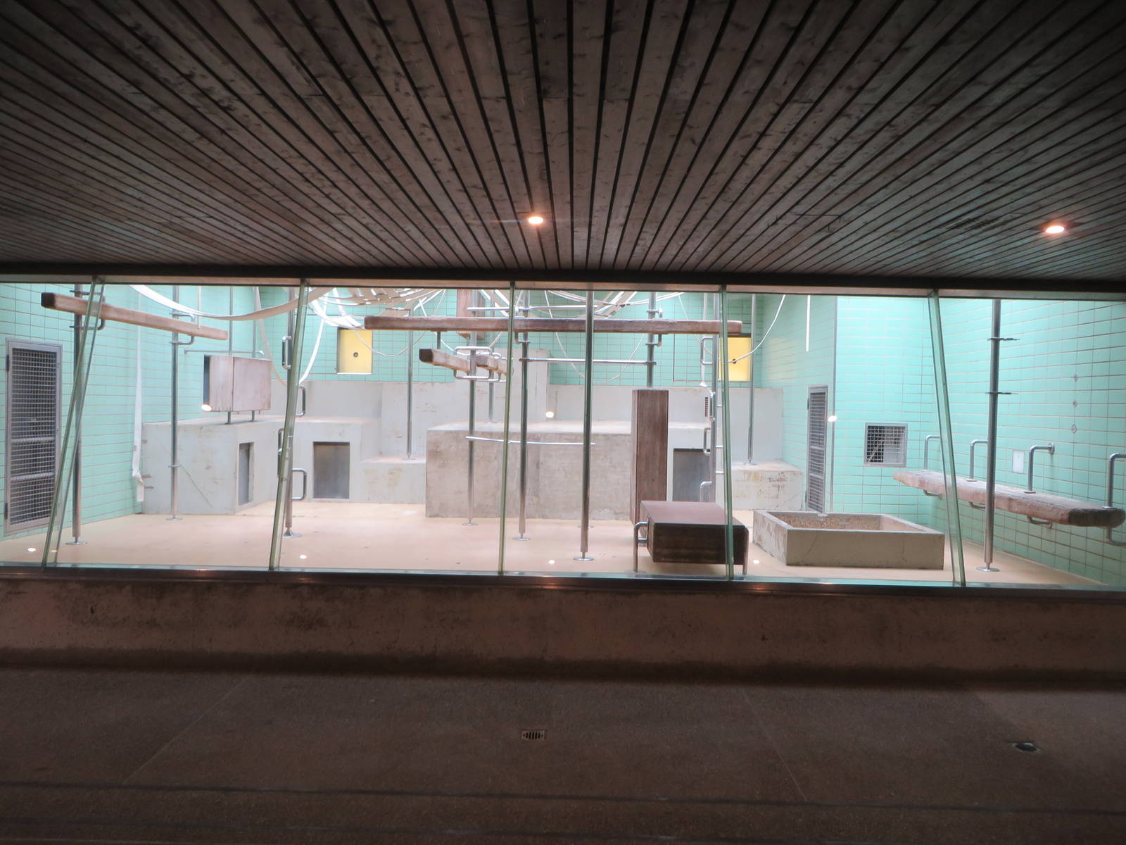 Former gorilla indoors