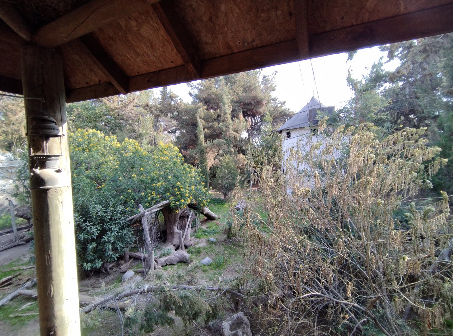 Former gray wolf exhibit - Buin zoo