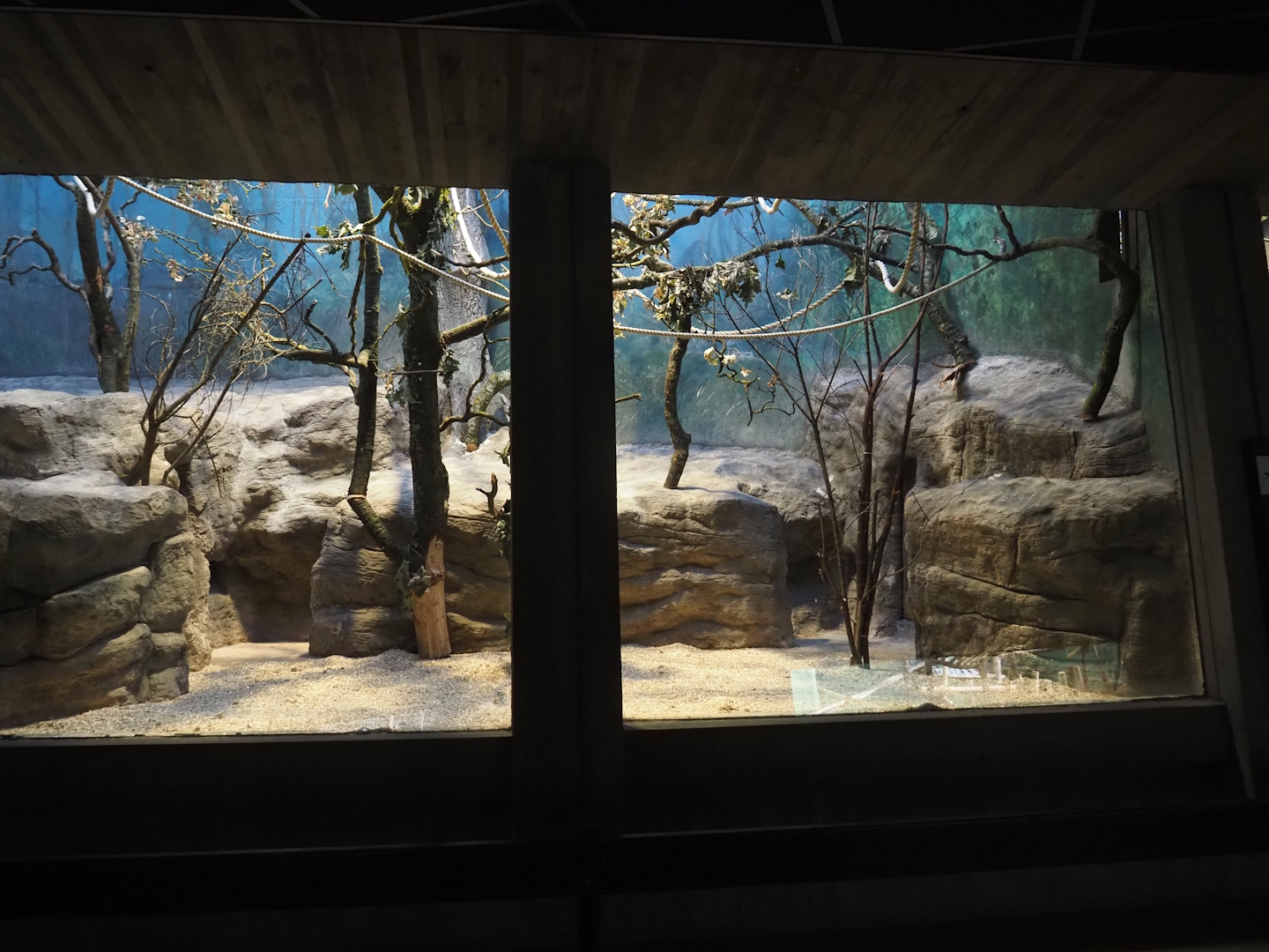 Former Hamlyn's monkey exhibits being repurposed for callitrichids,  2024-07-28