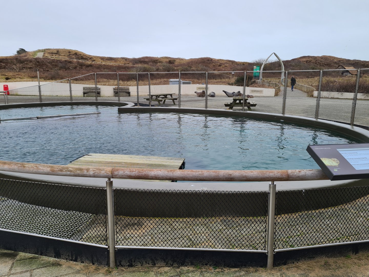 Former harbour porpoise tank, temporary Ringed seal enclosure
