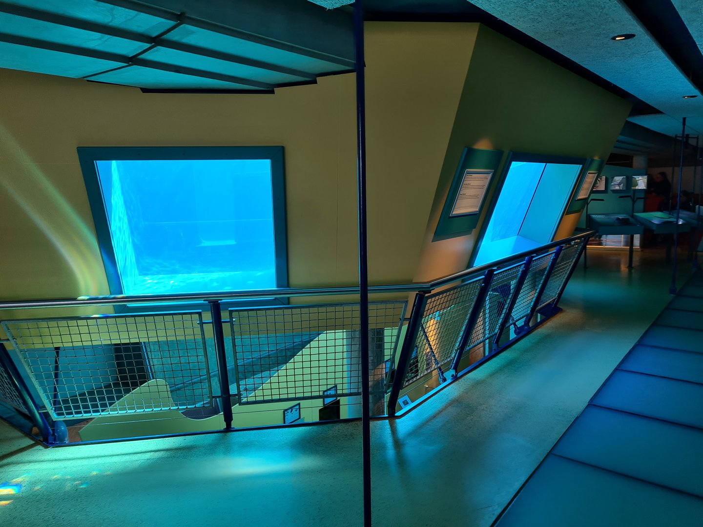 Former Harbour porpoise tank - Vacant