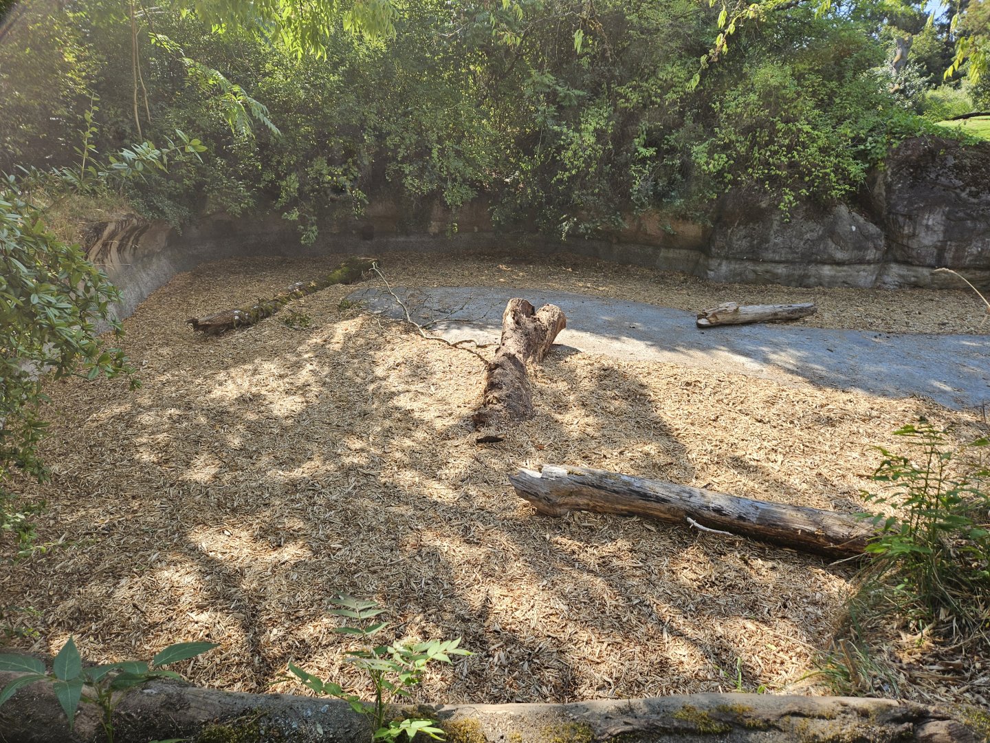 (Former) Hippo exhibit construction