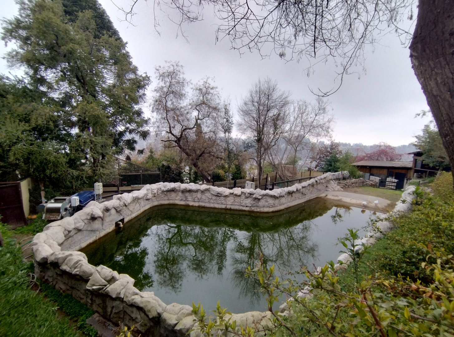 Former hippo exhibit (empty) - Santiago zoo (Zoologico nacional)