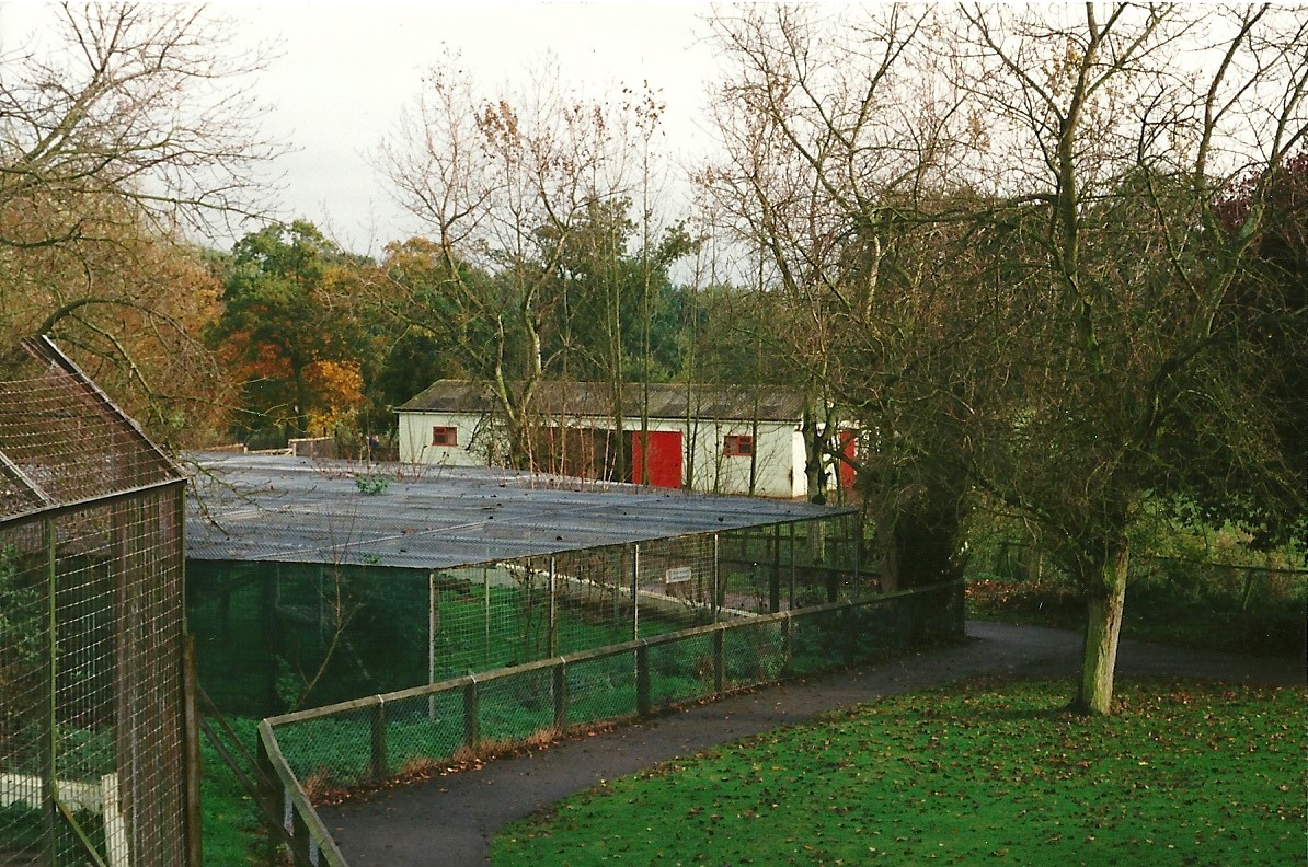 Former Hyaena cage 23rd October 1999