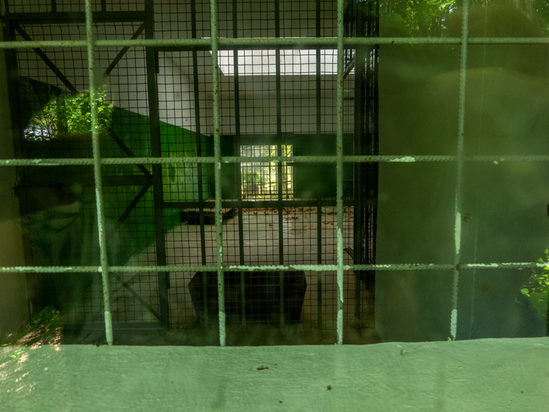 former indoor enclosure of wolves