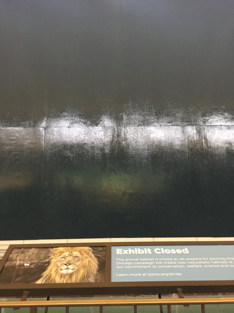 Former Indoor Tiger Cage