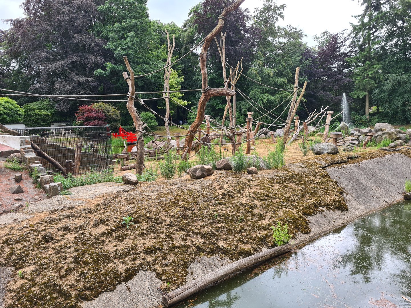 Former Japanese macaque island