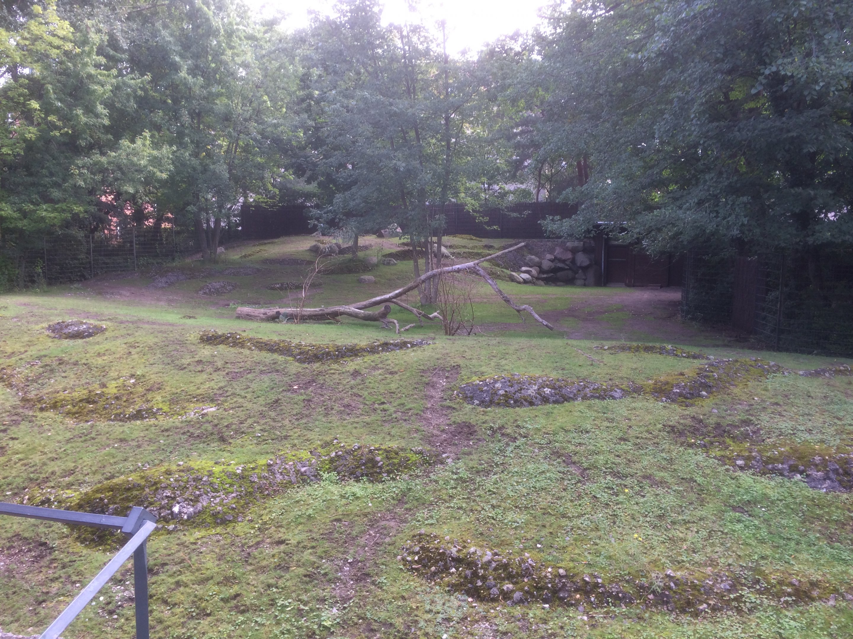 Former Japanese serow enclosure