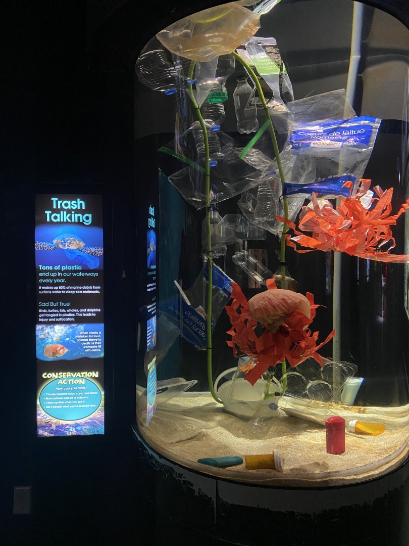 Former Jellyfish/cuttlefish exhibit