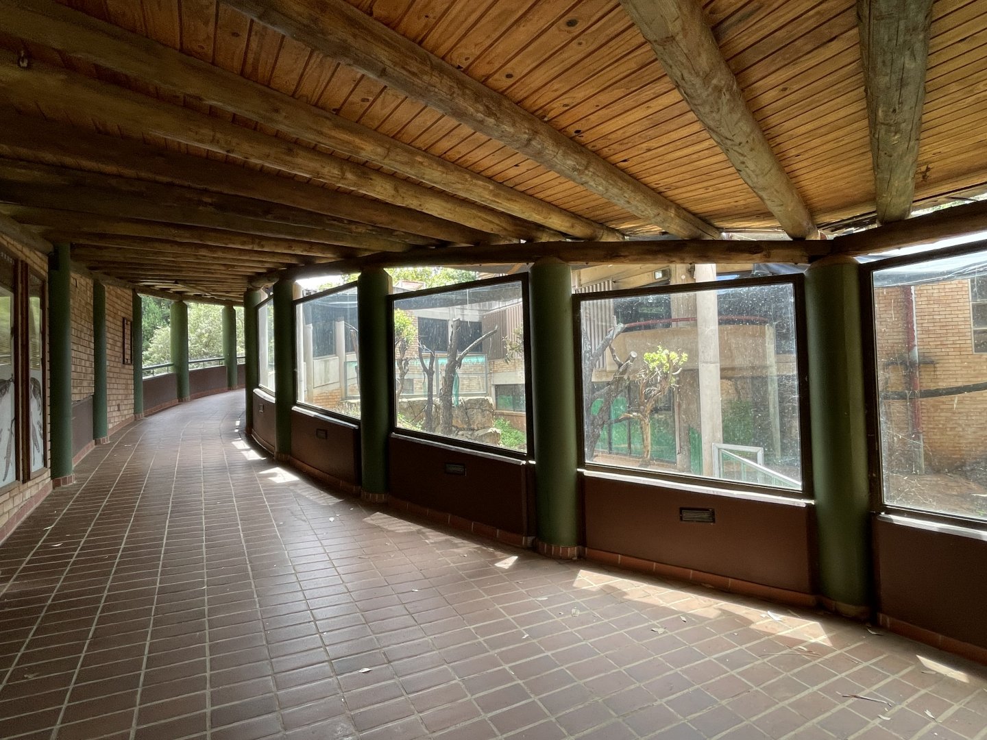 Former Koala House (Phascolarctos cinereus)