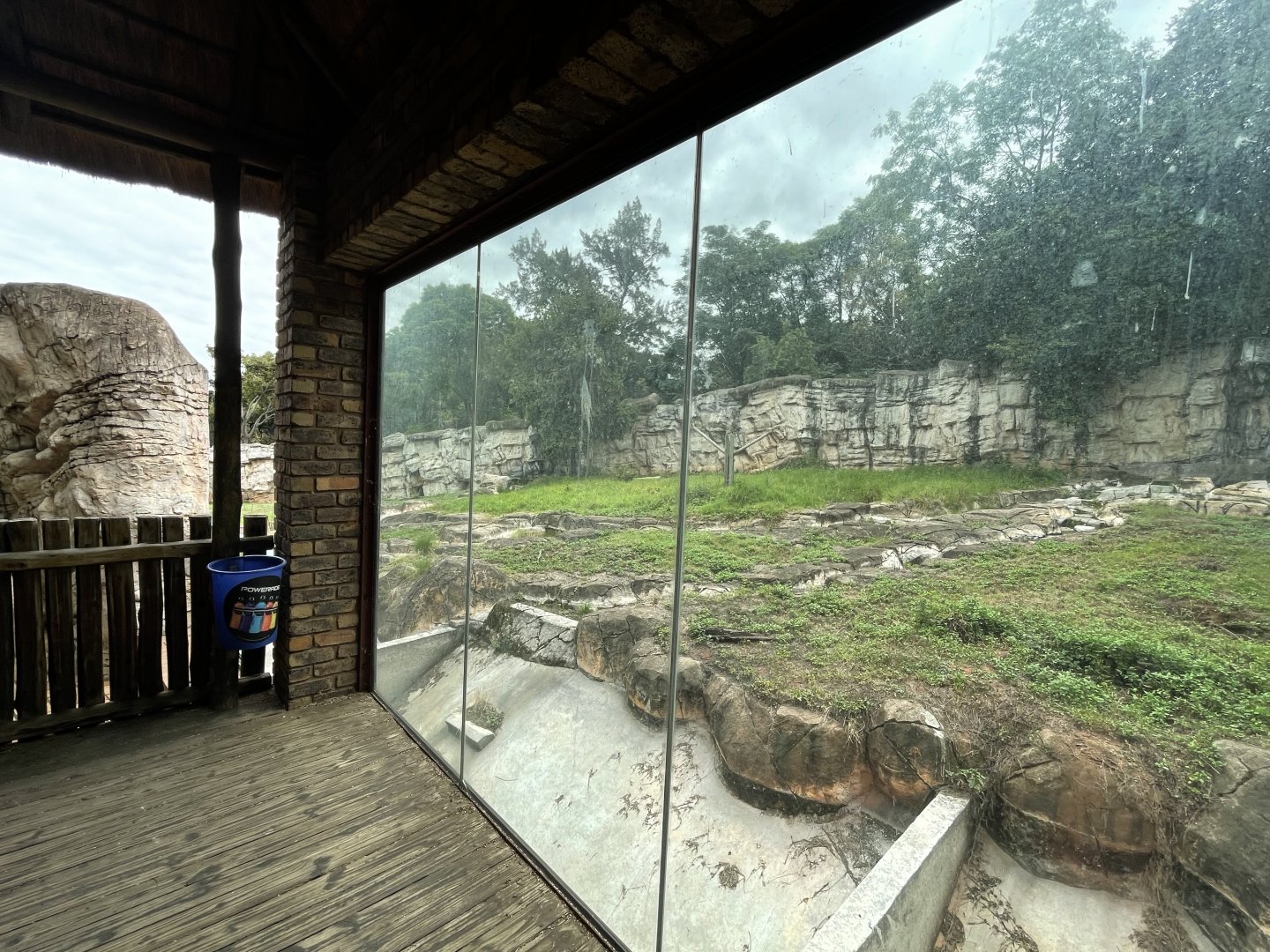 Former Kodiak Bear Exhibit (Ursus arctos middendorffi)