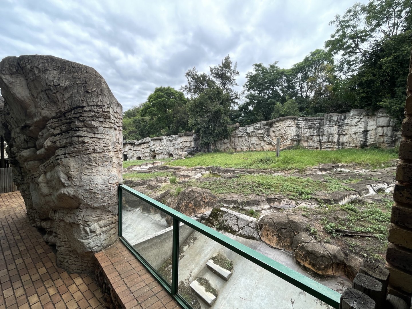Former Kodiak Bear Exhibit (Ursus arctos middendorffi)