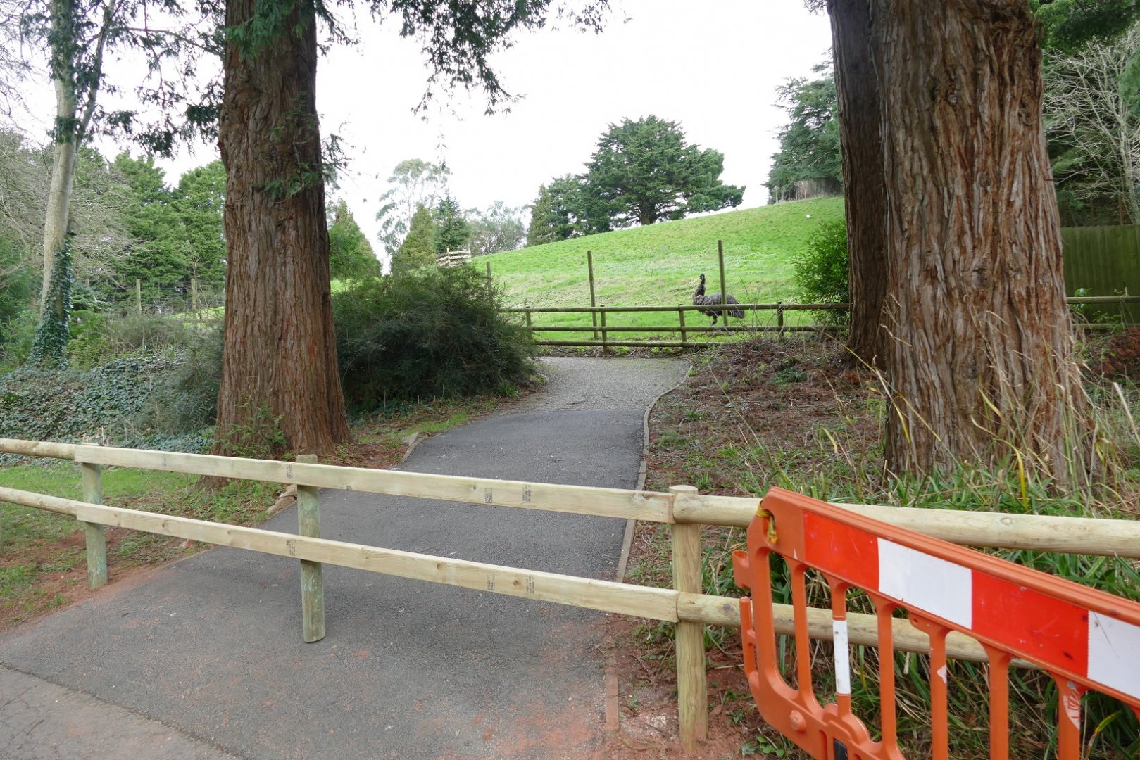 Former lechwe enclosure, January 2019