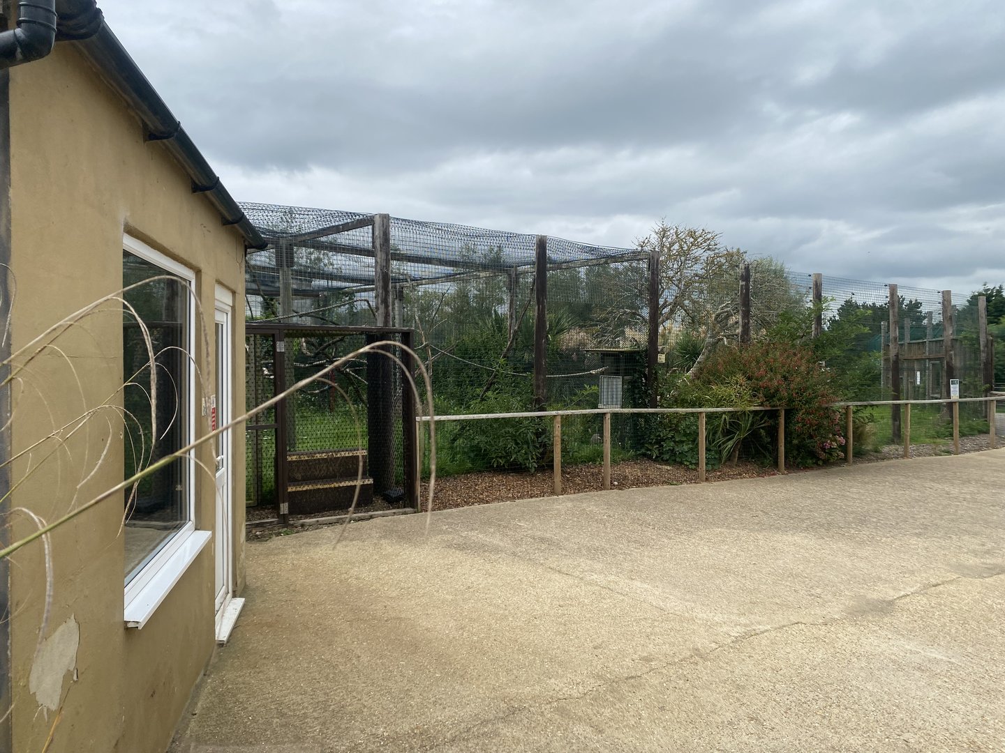 Former lemur enclosure 130923