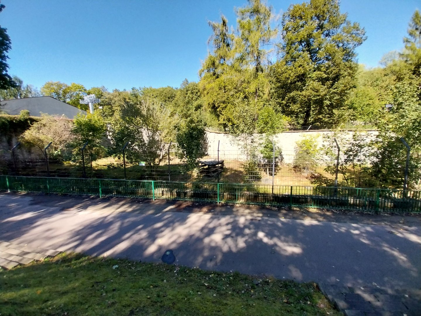 Former lion enclosure