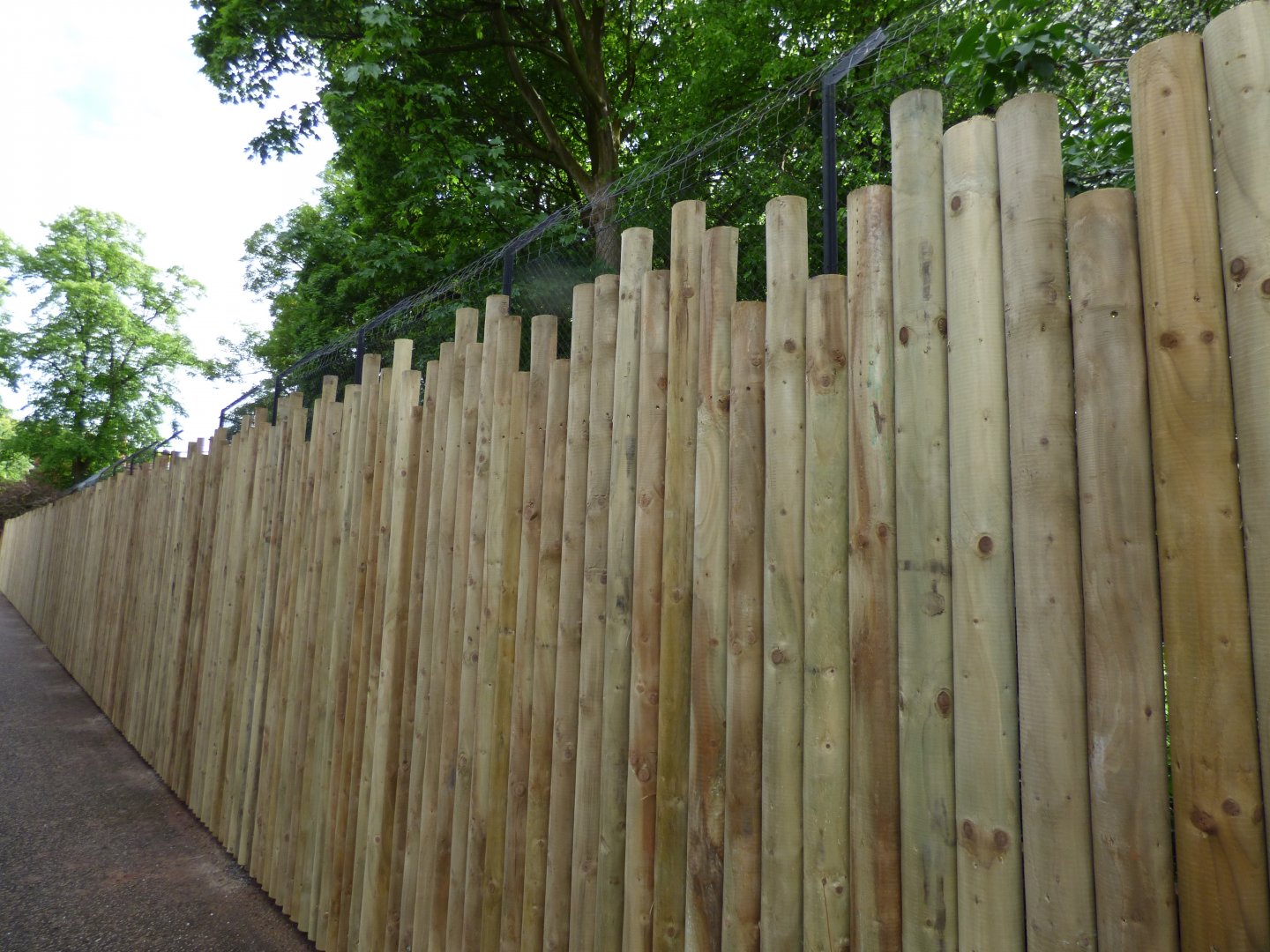 Former Lion Viewing Area