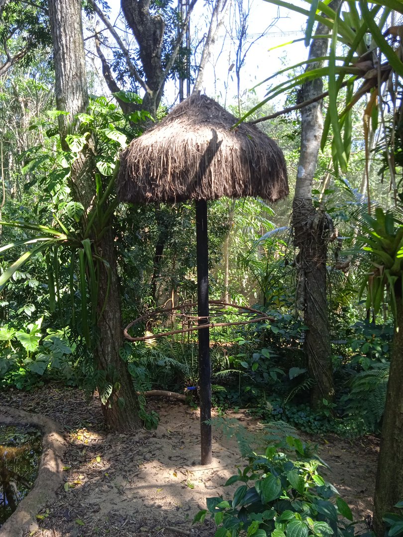 Former macaw exhibits