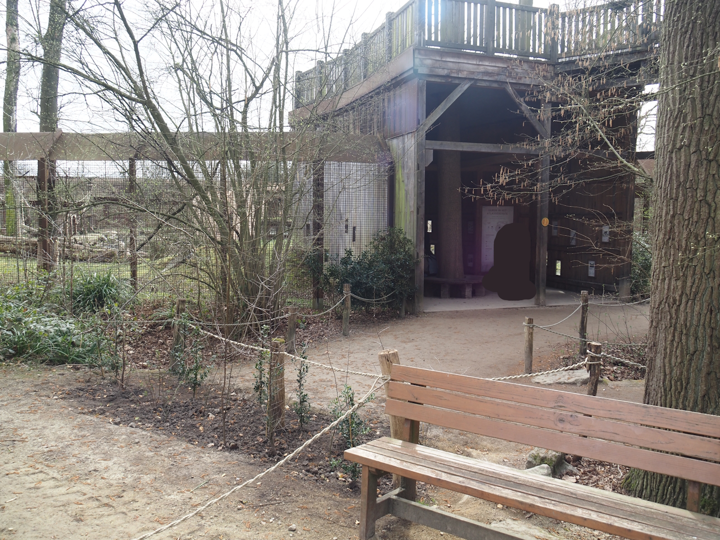 Former main route to Barbary macaques, now blocked, 2025-03-23